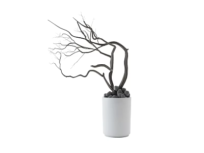 potted plant 3d model