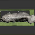 Realistic Bison Model Display On Green Base With Black Platform And White Particles
