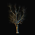 Modern Tree Big Tree 3d model