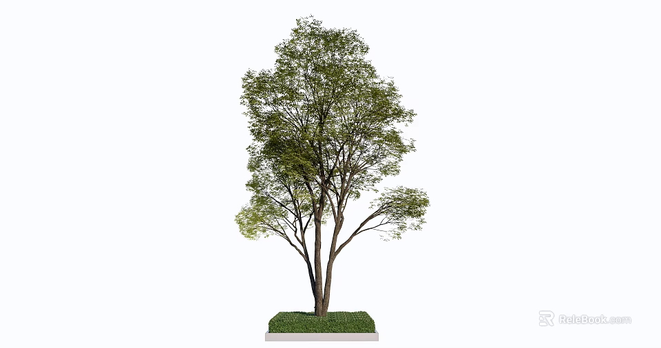Lush Green Arbor with Thick Trunk and Spreading Branches on Grass Base 3d model 