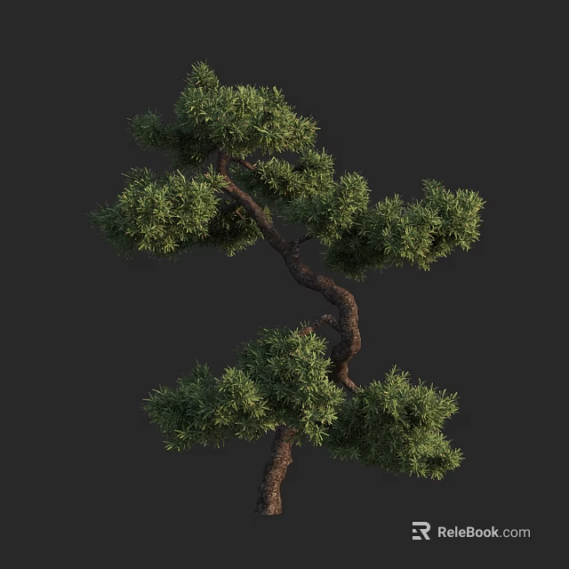 Lush Green Pine Tree With Curved Trunk Twisted Branches And Dense Foliage 3d model 