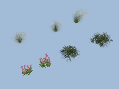 Various Types of Flowers and Grasses with Pink Blooms on Light Blue Background 3d model