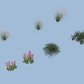 Various Types of Flowers and Grasses with Pink Blooms on Light Blue Background