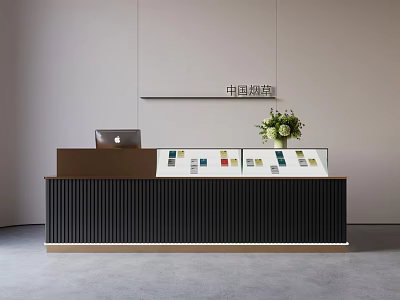 Modern Display Shelves with Color Swatches Laptop and Flower Vase on Reception Desk 3d model