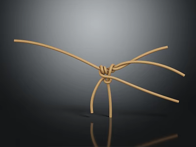 Yellow Rope Knot Structure With Curved Lines On Dark Reflective Surface 3d model