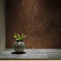 Ceramic Vase With Small Green Plants And Dry Branches On Dark Table Against Brown Wall