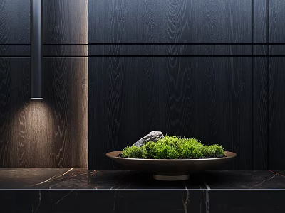 Green Moss In Brown Bowl With Stone On Black Wooden Wall Under Lighting 3d model