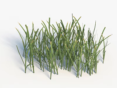 Grass 3d model