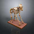 Detailed Monkey Skeleton Model Display on Brown Wooden Base with Dark Background