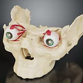 Realistic Anatomical Skull Model With Detailed Eyeballs Green Iris And Red Blood Vessels