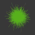 Fresh Lush Green Grass Cluster With Slender Leaves On White Background