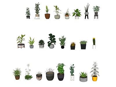 Bonsai Potted Plants Display With Various Leafy Green Succulents And Modern Planters 3d model