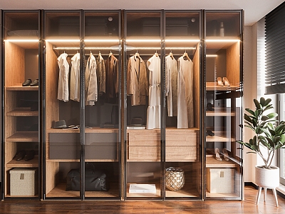 Modern wardrobe model