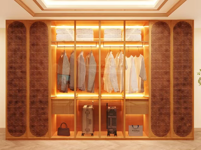 Modern Wooden Wardrobe Interior With Illuminated Hanging Clothes And Rattan Side Panels 3d model