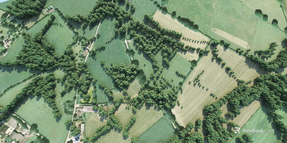 Aerial Planning Of Rural Area With Green Fields Trees And Agricultural Plots 3d model 