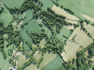Aerial Planning Of Rural Area With Green Fields Trees And Agricultural Plots 3d model