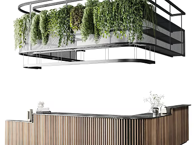 Modern Wooden Bar Counter With Hanging Green Plants In Interior Design 3d model