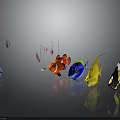 Colorful Fish in Various Colors Swimming Underwater with Reflection on Gray Background