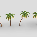 Palm Trees With Different Shapes Brown Trunks Green Leaves Yellow Edges And Various Bending Postures
