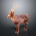 Detailed 3D Model Of Brown Deer With Long Antlers And White Facial Markings