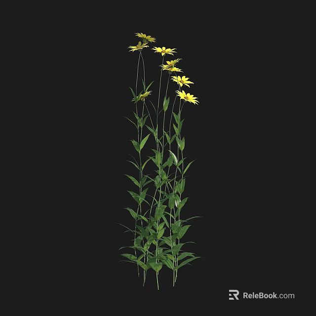 Beautiful Yellow Flowers With Green Stems Against Black Background In Natural Setting 3d model 