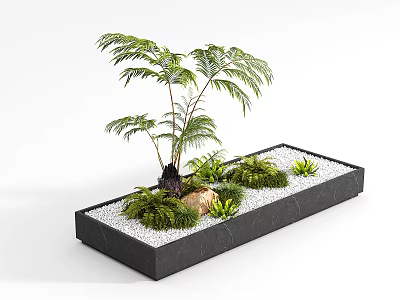 Lush Ferns and Palm Plants in Black Rectangular Planter with White Pebbles and Green Moss 3d model