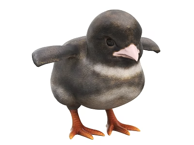 Small Flying Animal Baby Bird With Black Gray Feathers Orange Feet And Pink Beak 3d model