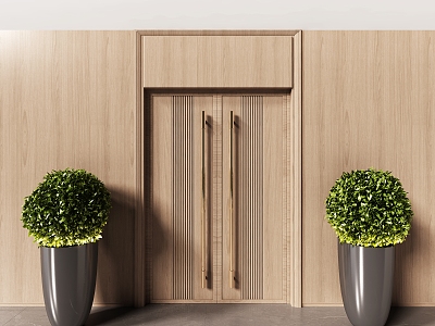 Entrance door, double door, double door, hotel door model