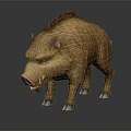 Realistic 3D Model Of Wild Boar With Brown Fur Sharp Tusks And Reflection