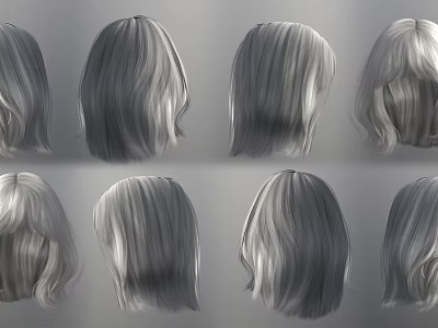 Gray Wig Ornament Decoration Set With Various Hairstyle Designs For 3d model