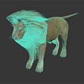 Male Lion with Majestic Mane Standing on Dark Background with Reflective Surface