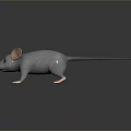 Animated Gray Mouse Character With Large Pink Ears And Paws On Dark Smooth Surface