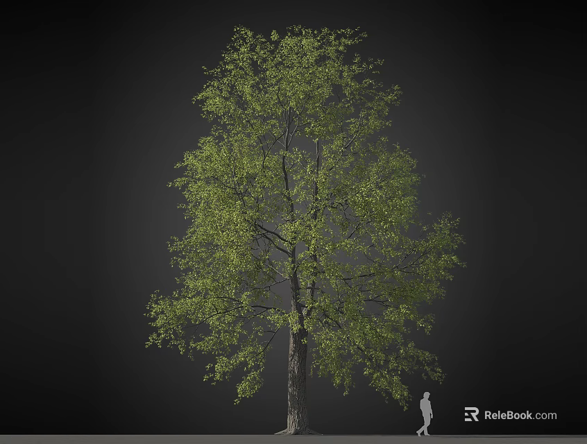 Tall Arbor with Lush Green Foliage and Human Figure for Size Comparison 3d model 