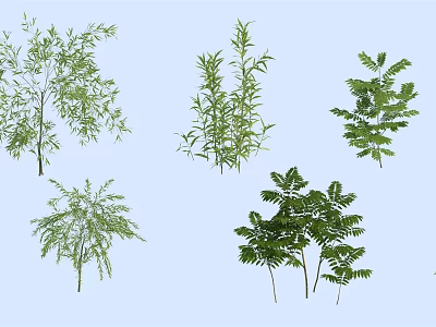 Modern Shrub Shrub Seed Shrub Small Shrub 3d model Modern Shrub Shrub Seed Shrub Small Shrub 3d model