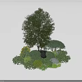 Varied Green Shrubs in Garden Landscaping with Tall Tree Yellow Flowers and Stone