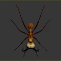 Close Up View Of Red And Yellow Ant With Long Legs On Dark Background