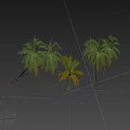 Trees Tropical Trees Coconut Trees Palm Trees Landscape Trees Seaside Landscape Green Planting 3d model