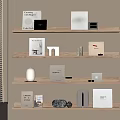Stylish Decorative Ornaments Books And Items On Wooden Shelves