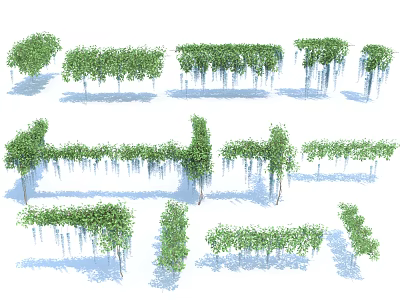 Green Vines In Various Shapes For Landscape And Decorative Arrangements 3d model