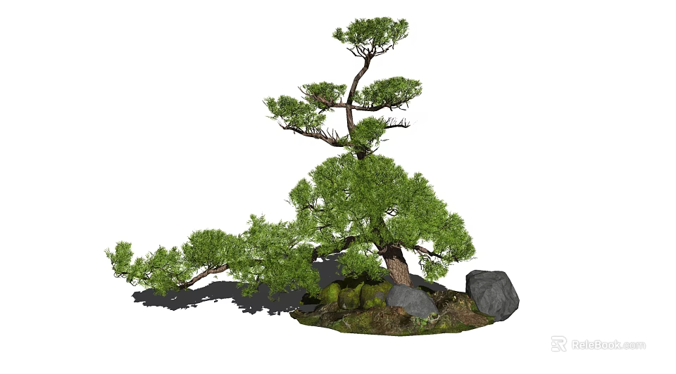 Bonsai Pine Tree With Curved Branches Green Needles Rocks And Moss 3d model