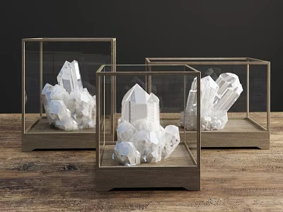 Decorative Ornament Set with Glass Display Cases Wooden Bases and White Crystals for Tabletop Decor 3d model