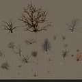 Various Types Of Trees With Different Shapes And Colors On Snowy Grid Surface