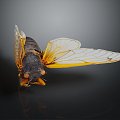 Modern cicada cicada cicada shell golden cicada 3d model