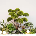 Garden Landscape Design With Shaped Trees Green Bushes Stones And White Spherical Lights