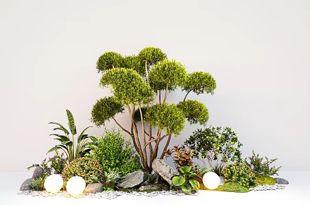 Modern courtyard plant combination modeling landscape tree stone shrub green plant 3d model