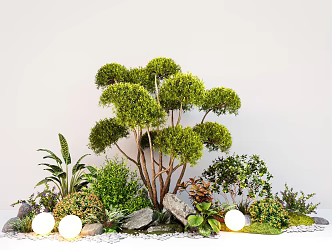 Modern courtyard plant combination modeling landscape tree stone shrub green plant 3d model