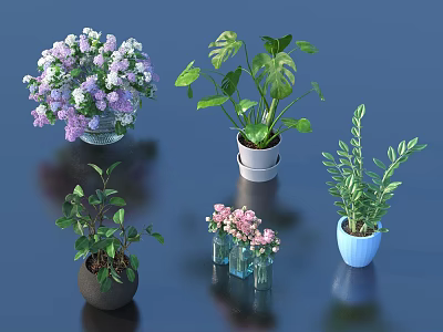 Various Bonsai Potted Plants with Purple Pink Flowers Green Leaves and Colored Pots 3d model