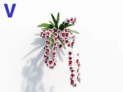 Beautiful Hanging Orchid Plant With White Pink Blooms And Green Leaves On White Background 3d model