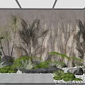 Indoor Plant Arrangement With Tall Reed Like Plants Ferns Low Greenery And Stone Elements