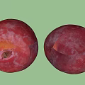 Four Fresh Red Ripe Plums With Shiny Skin And Juicy Flesh On White Background